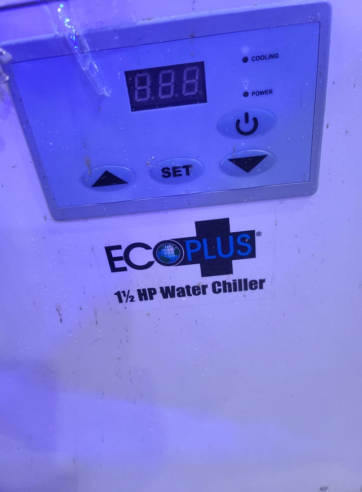 chiller1.2.jpg