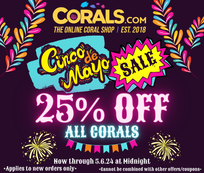 Cinco de Mayo Sale.png