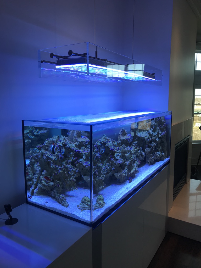 clean look mount bracket aquarium LED light.jpg
