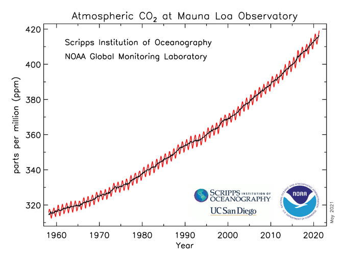 co2_data_mlo.png