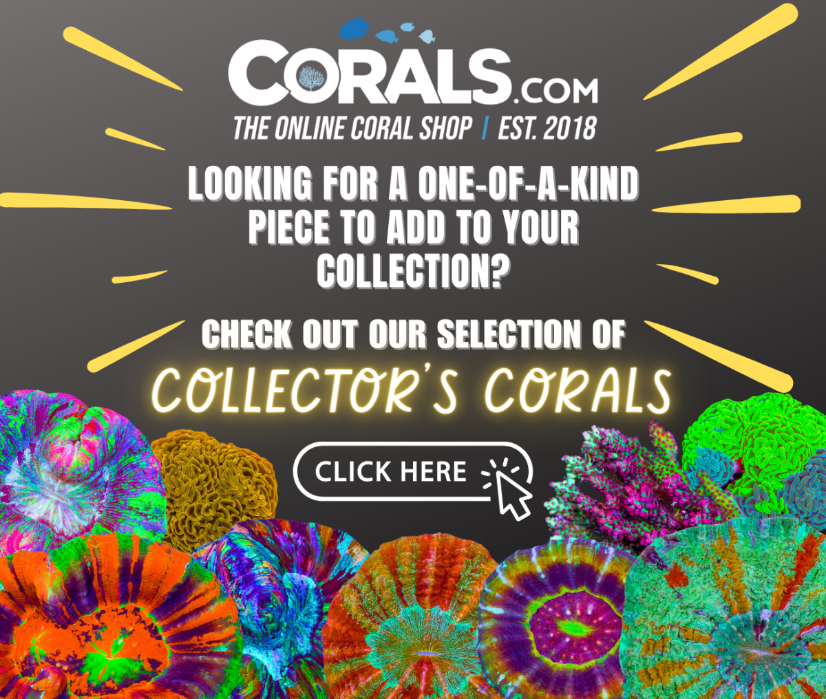 Collector's Corals.png