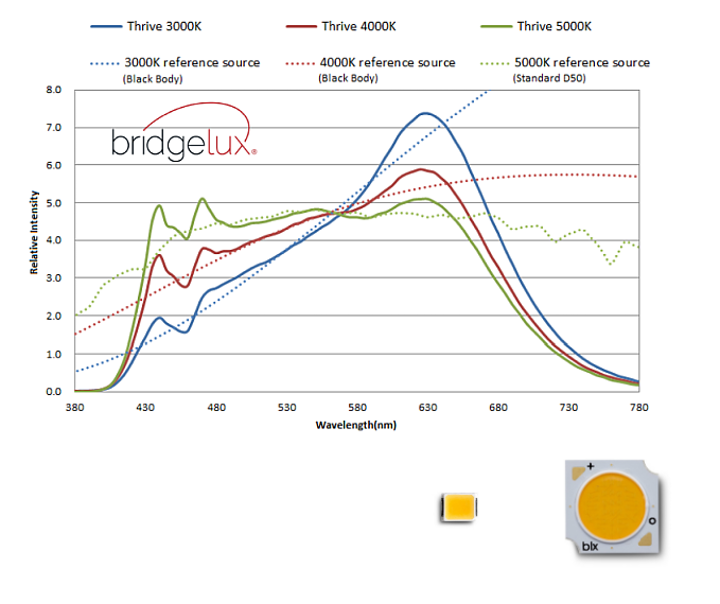 content_dam_leds_onlinearticles_2019_03_ledsbridgeluxnews031419.png