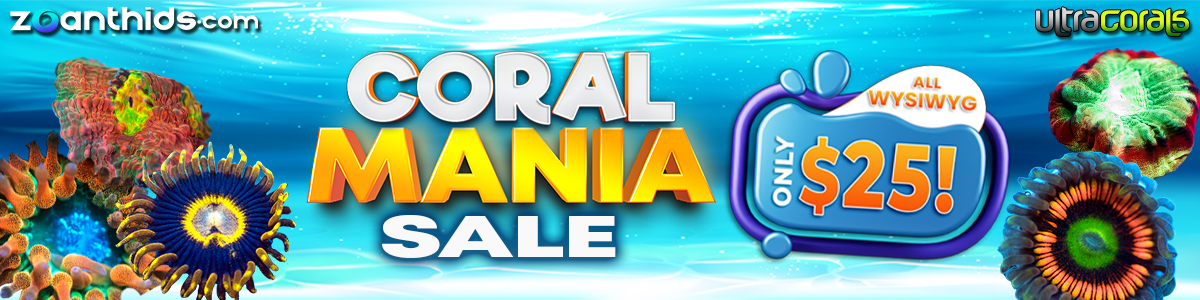 Coral-Mania-After-Banner.jpg