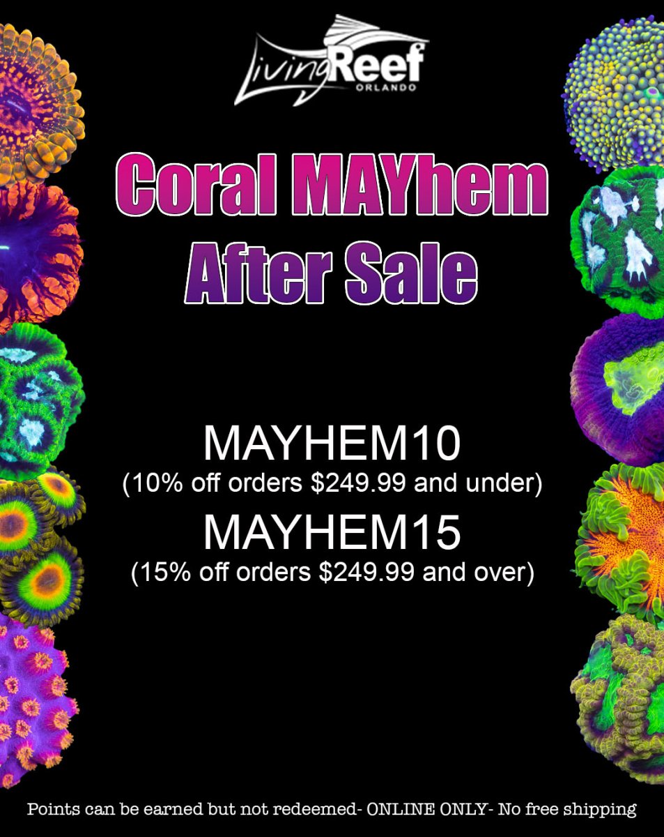 coral mayhem social media (1) copy.jpg