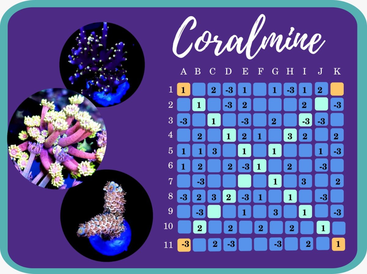 coralmine 1 answer.jpeg