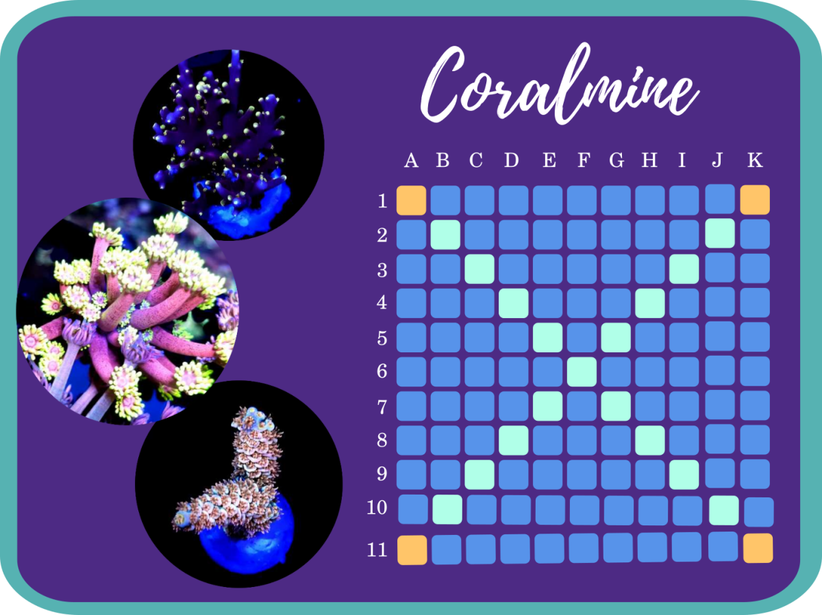 coralmine poster.png