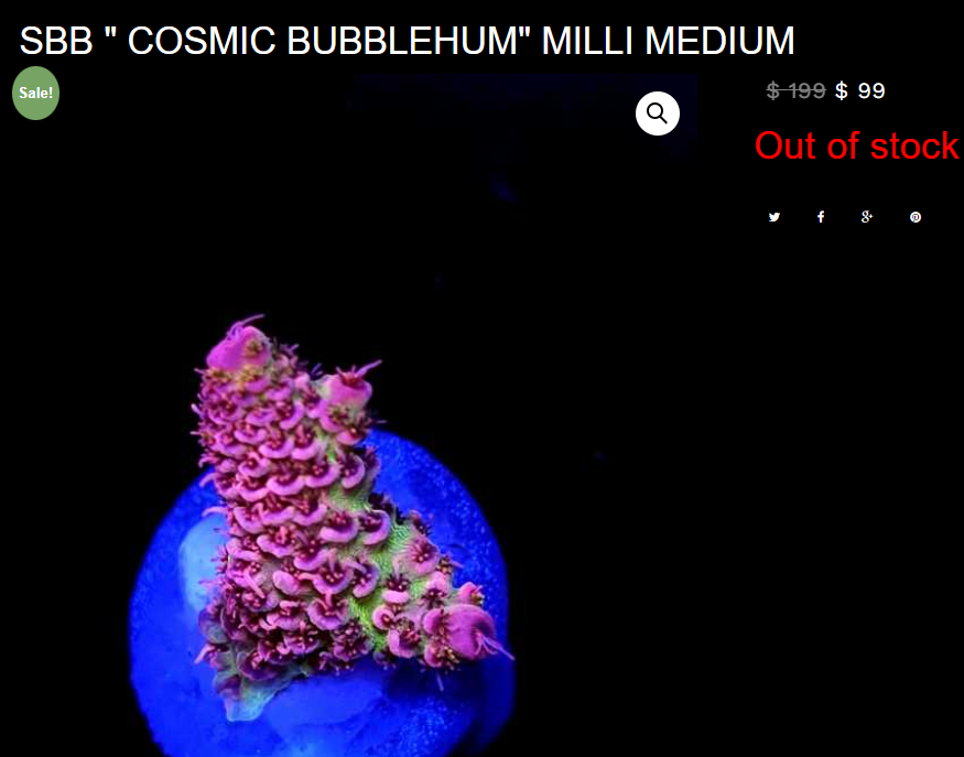 cosmic bubblegum.png