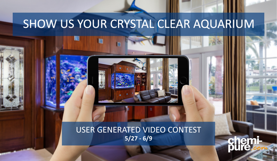 Crystal-Clear-Video-Contest-Image.jpg