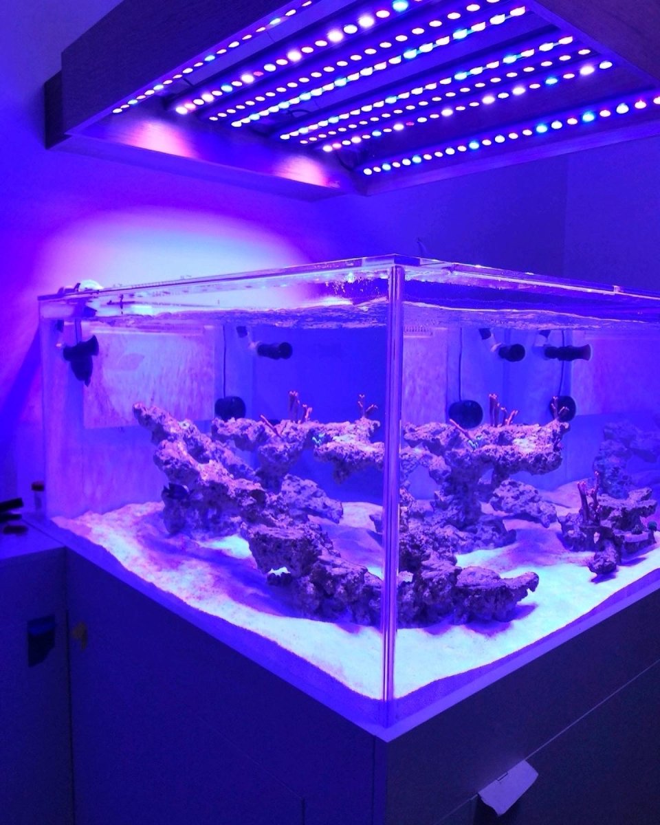 Reef Aquarium cube 8x OR3 LED bar 