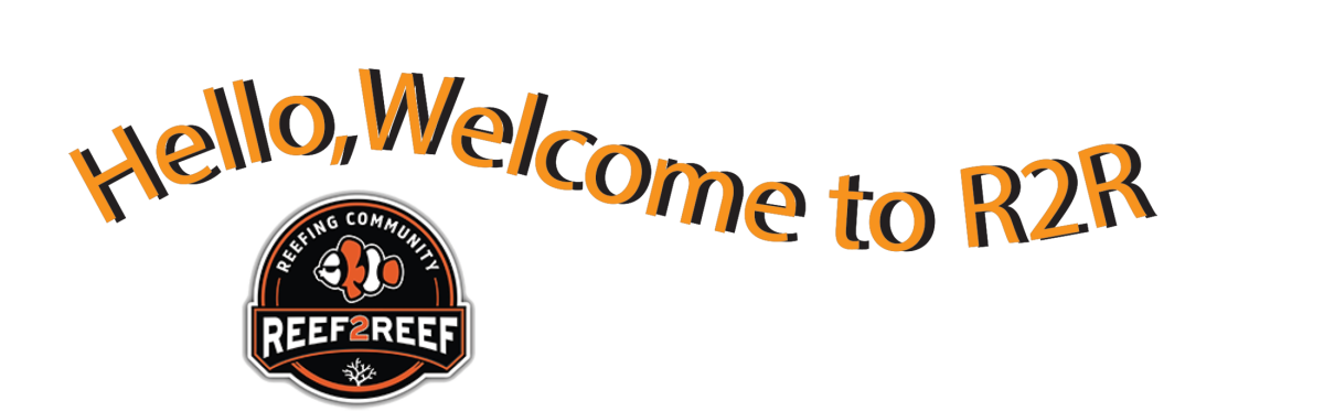 Curved R2R Welcome 3-31-23 Orange.png