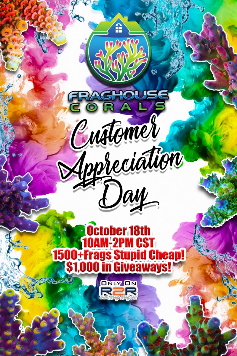 customer appreciation day live sale 2020 (1).jpg