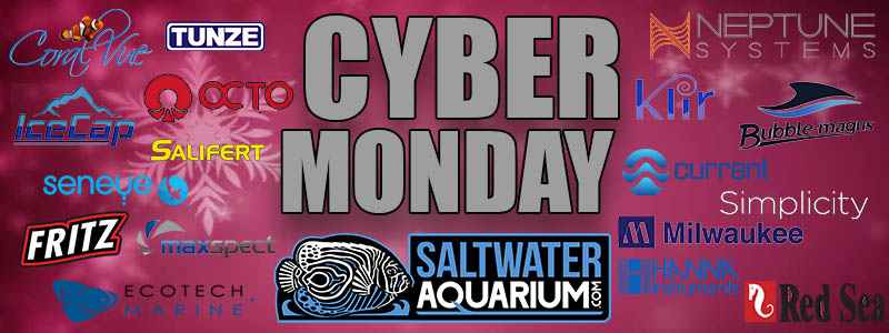 Cyber Monday 800x300.jpg