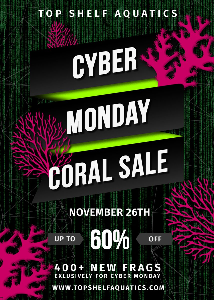 Cyber Monday Flyer GREEN.jpg