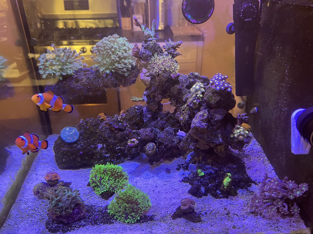 Day 142 full tank shot.jpg