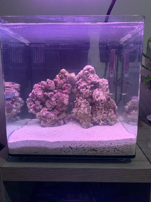 Day 2 (tank Clear).jpg