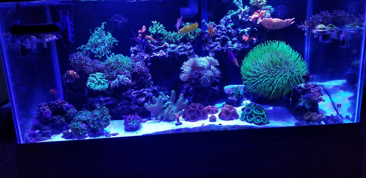 DEC FTS Reg Camera.jpg