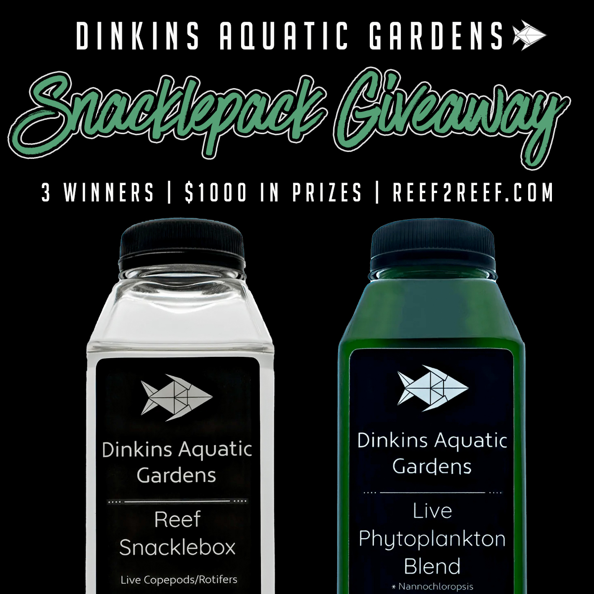 dinkins aquatic gardens giveaway copy.jpeg