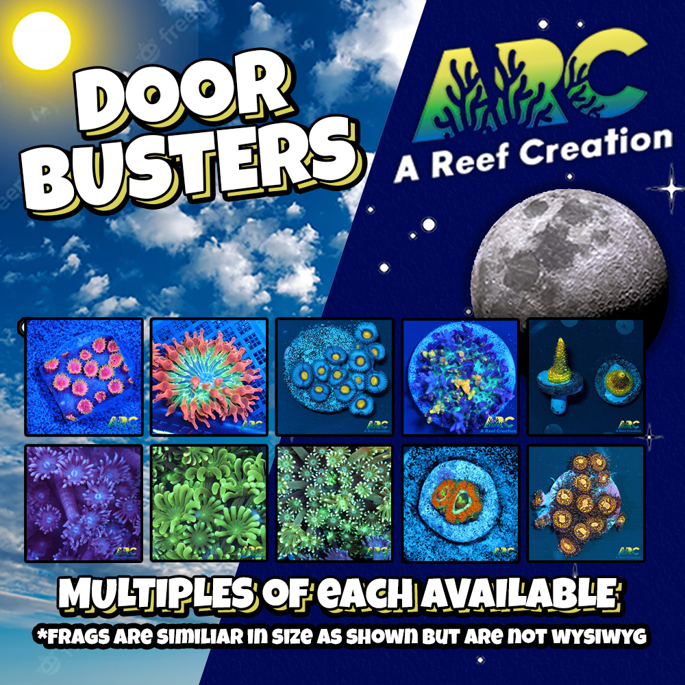 DOOR BUSTER TILE.jpg