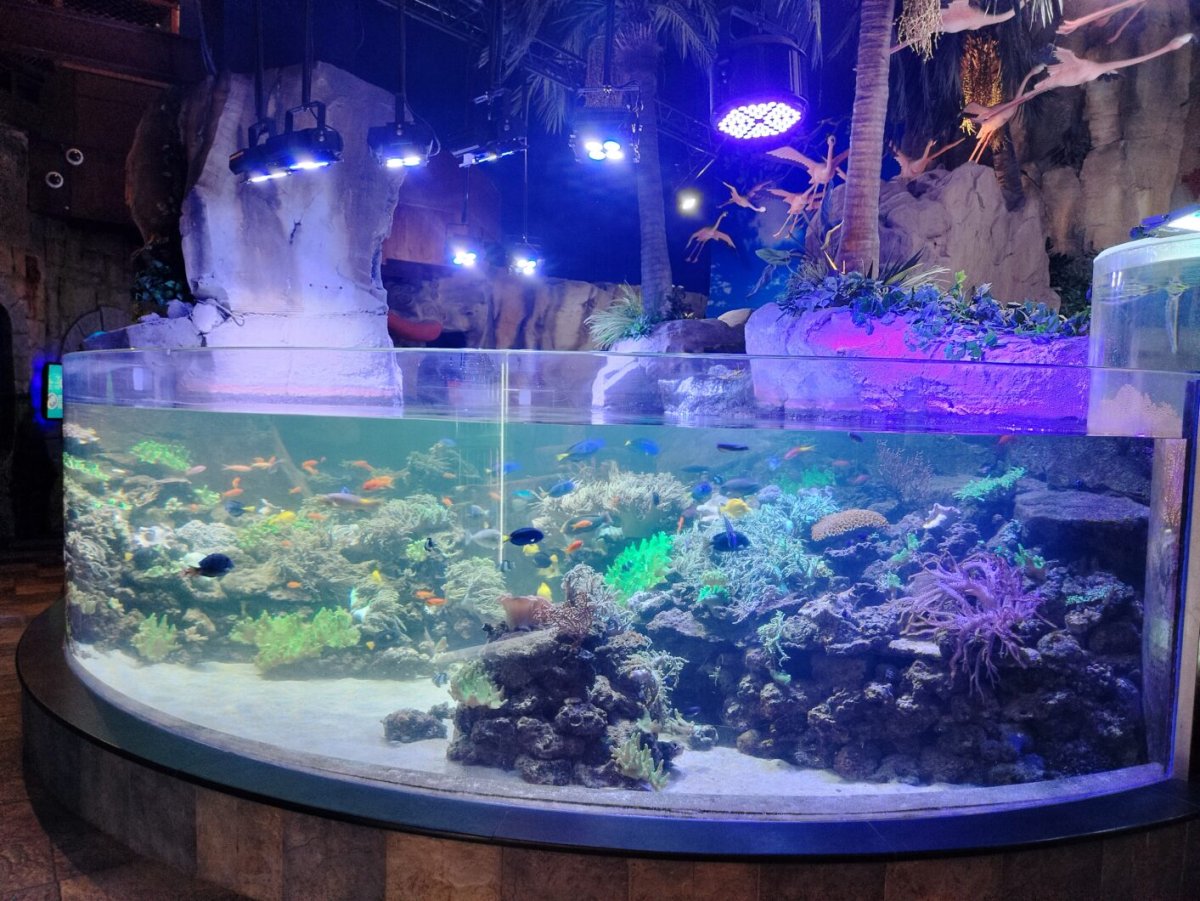 Orphek LED lighting solutions for Public aquariums – Amazonas series – Dubai Mall Aquarium 