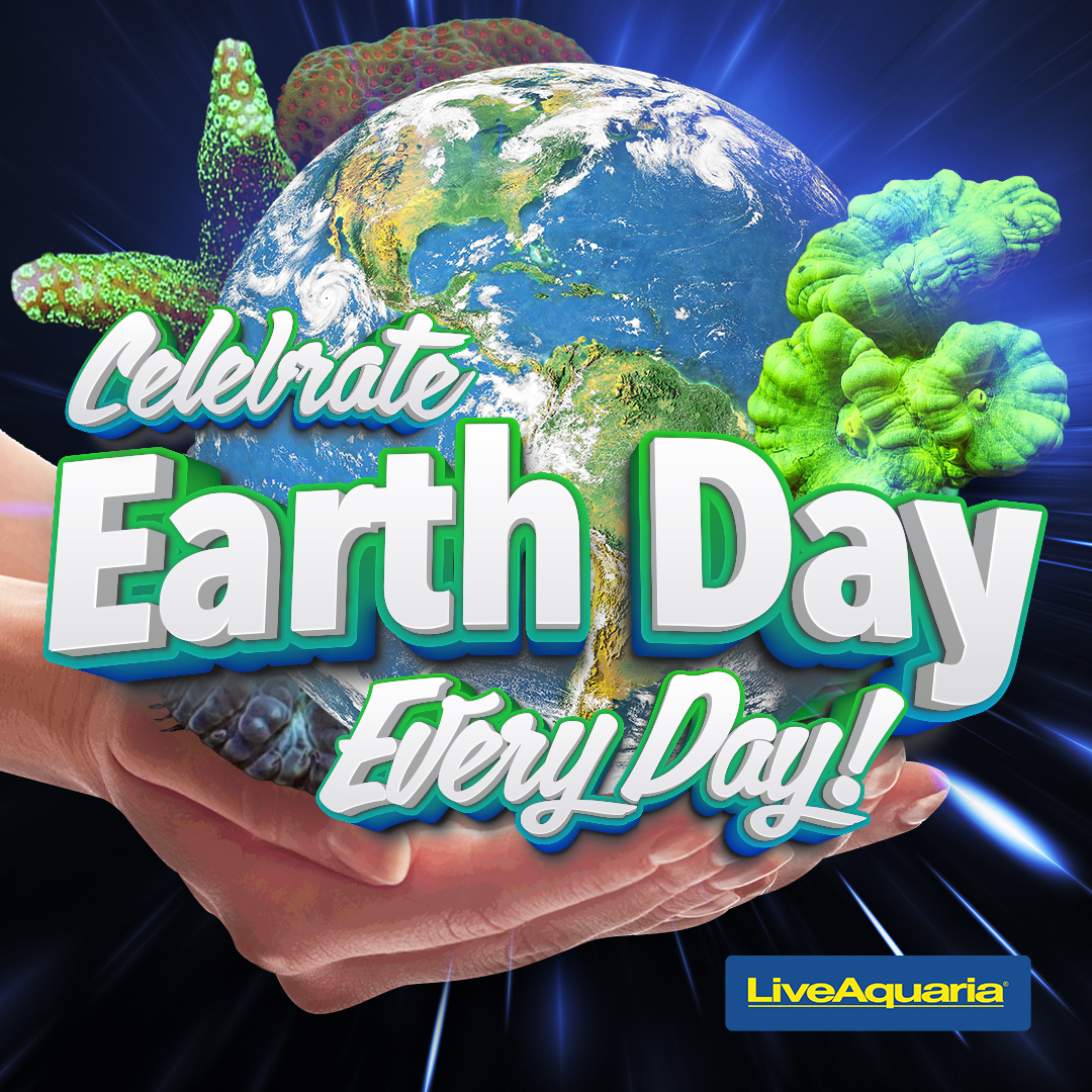 earthday1.jpeg