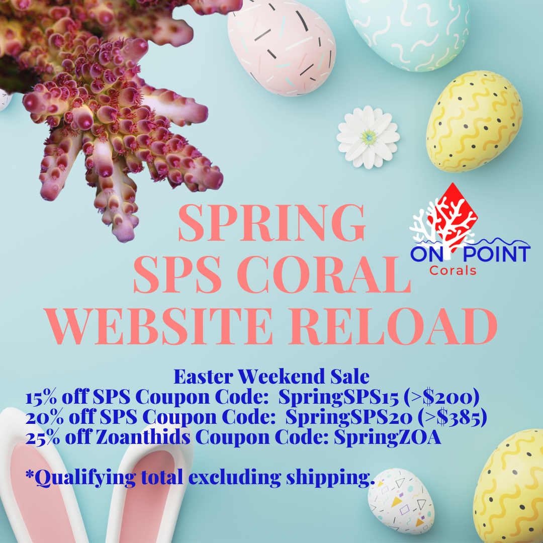 Easter SPS CORAL RELOAD.png