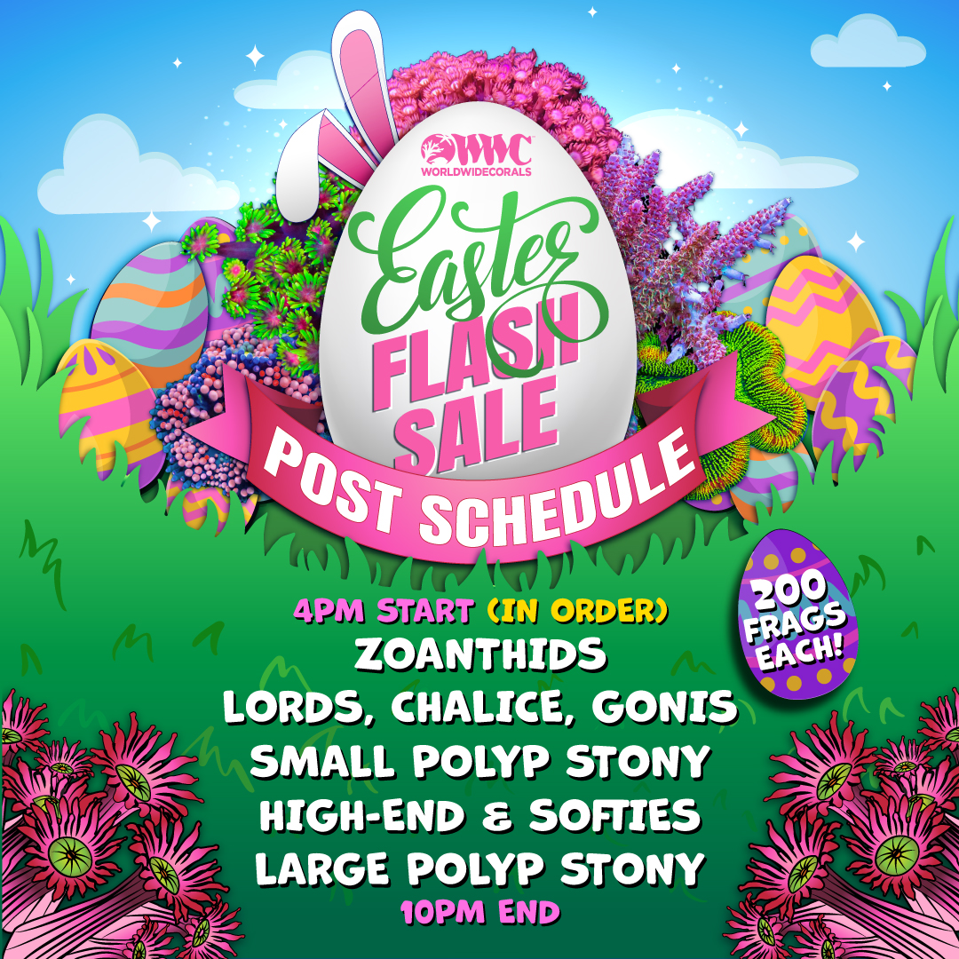 EASTER_Flash_Sale_POST-SCHEDULE-01.jpg