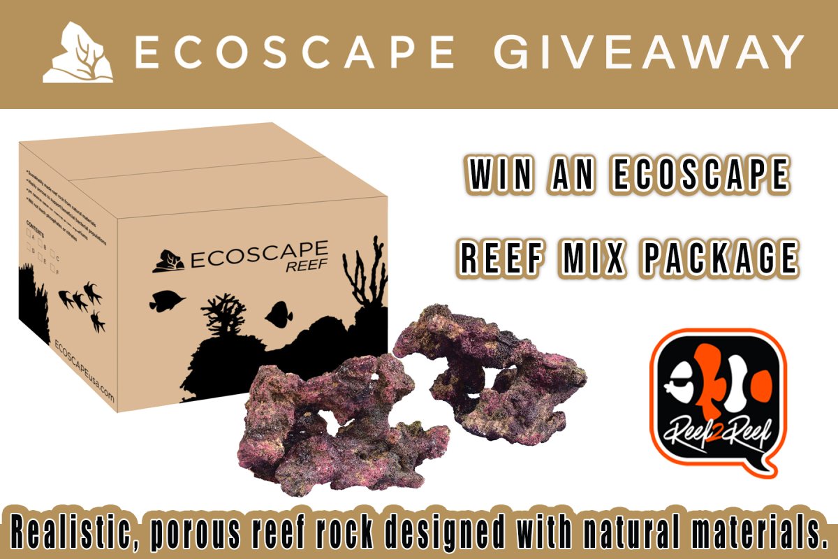 EcoscapeGiveaway.jpeg