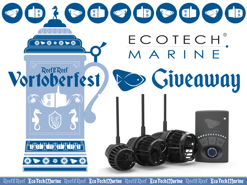 ECOTECHMARINE Giveaway.jpg