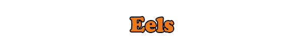 eels.png