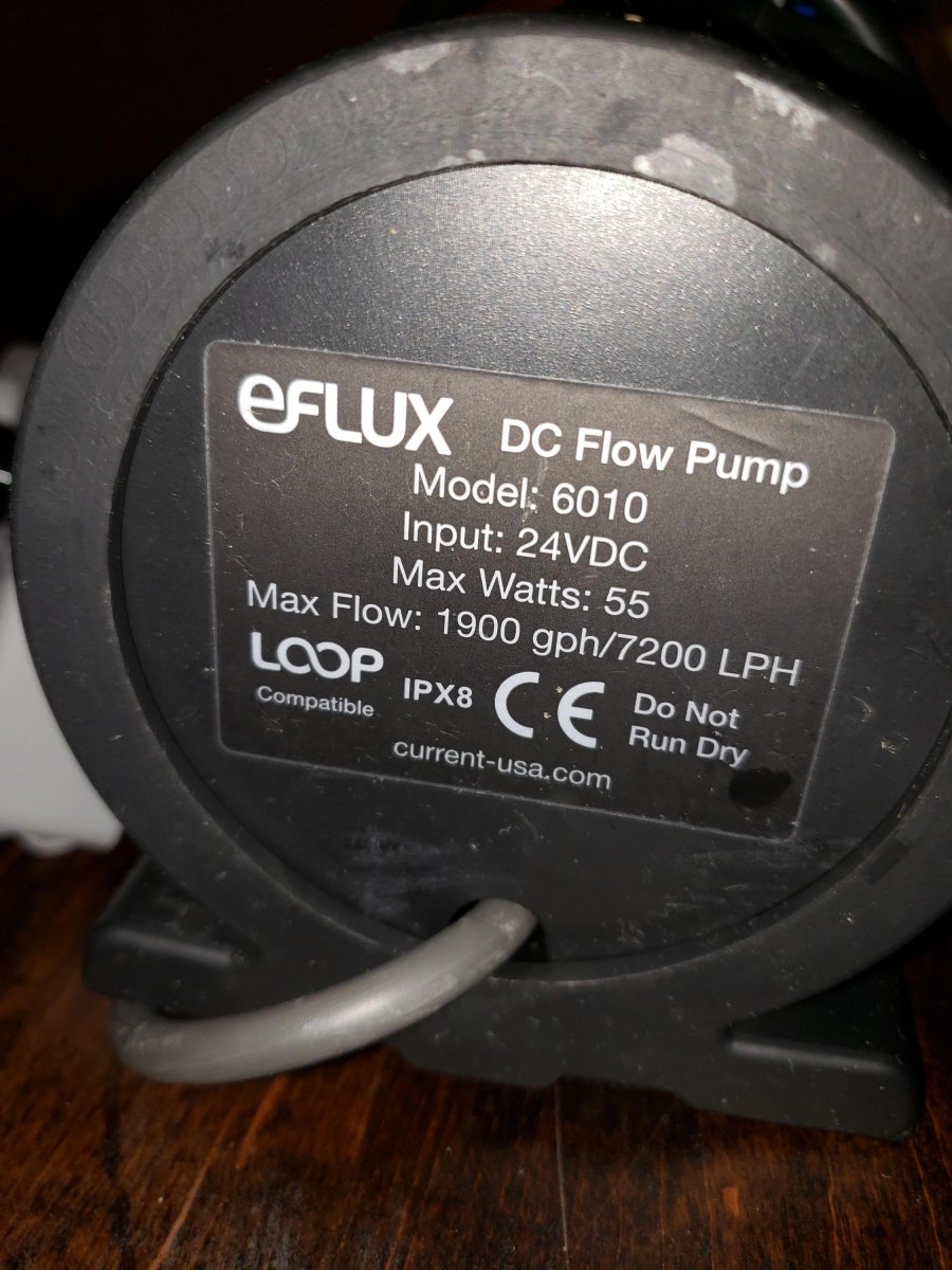 Eflux_pump_2.thumb.jpg.35a2c20a7a01f205784053b5b3edb22c.jpg