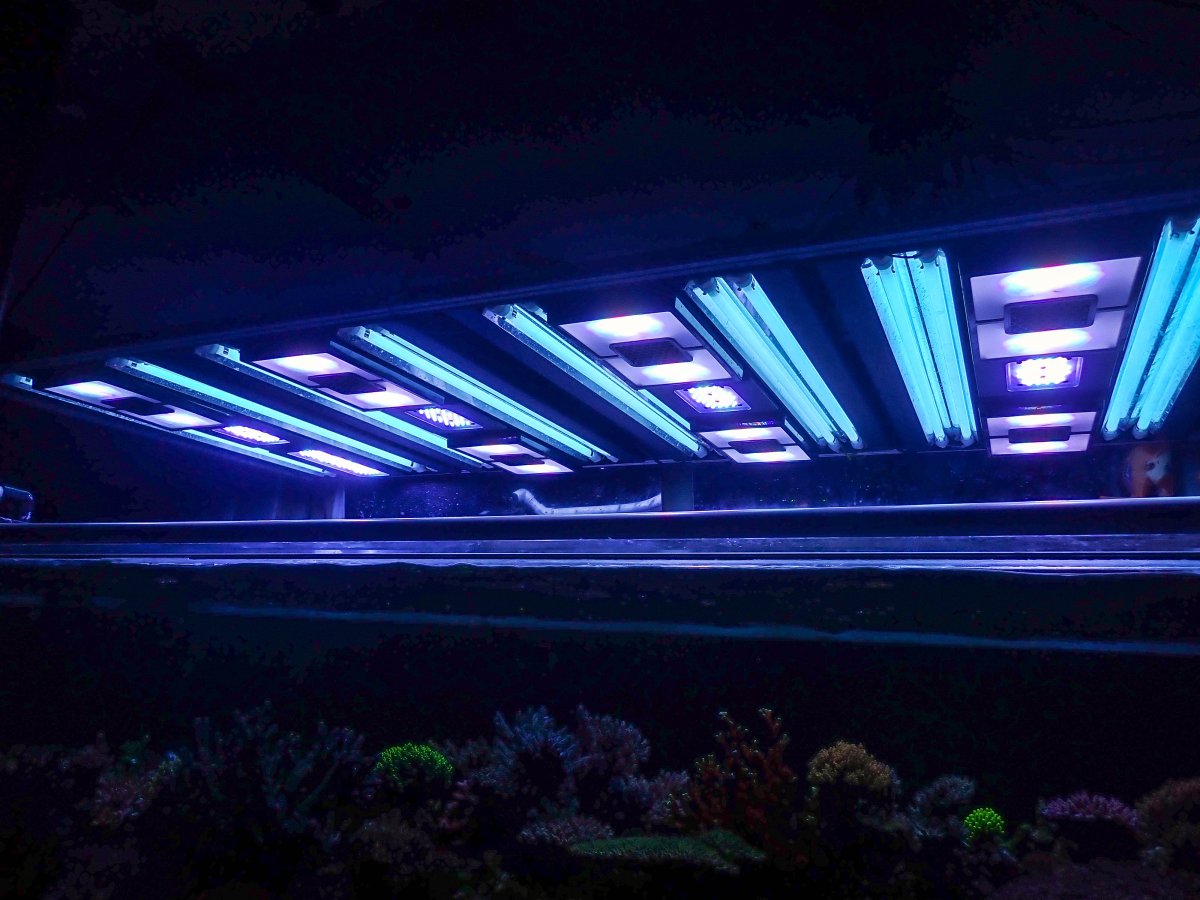 EpicAquaculture_Lighting.jpeg