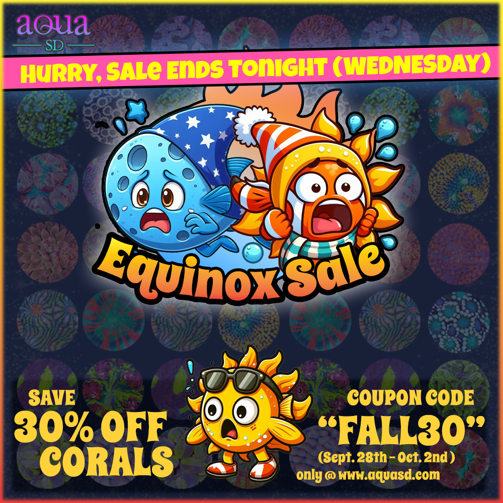 Equinox-Sale-LastDay.png