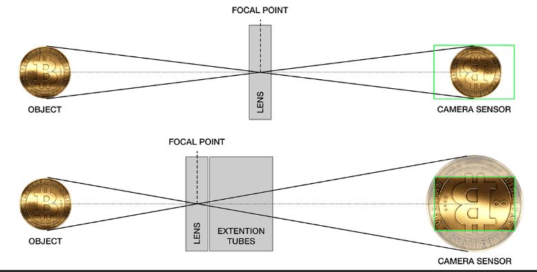 extension tube magnification.JPG