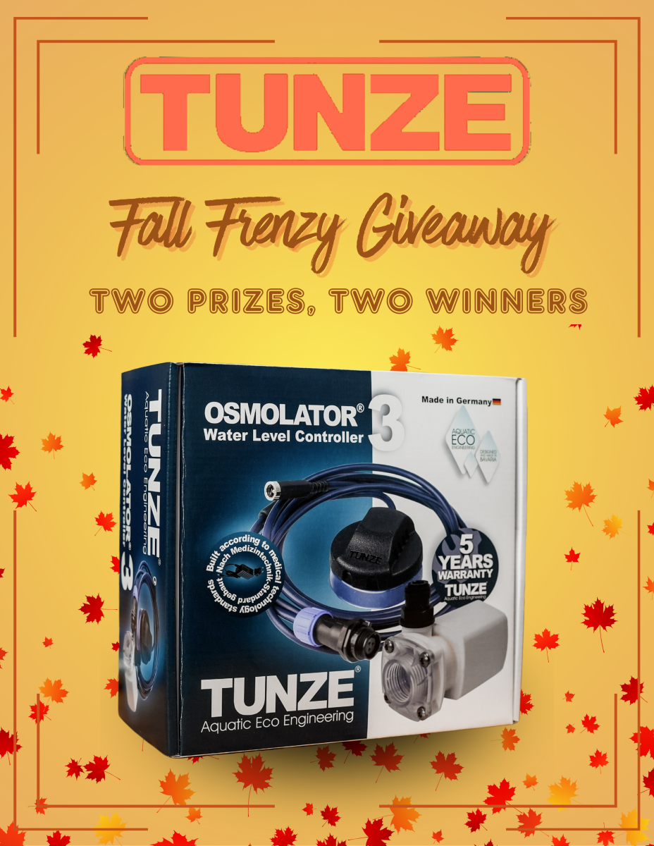 Fall Frenzy giveaway.png