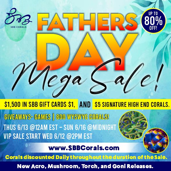 father day mega sale.jpg