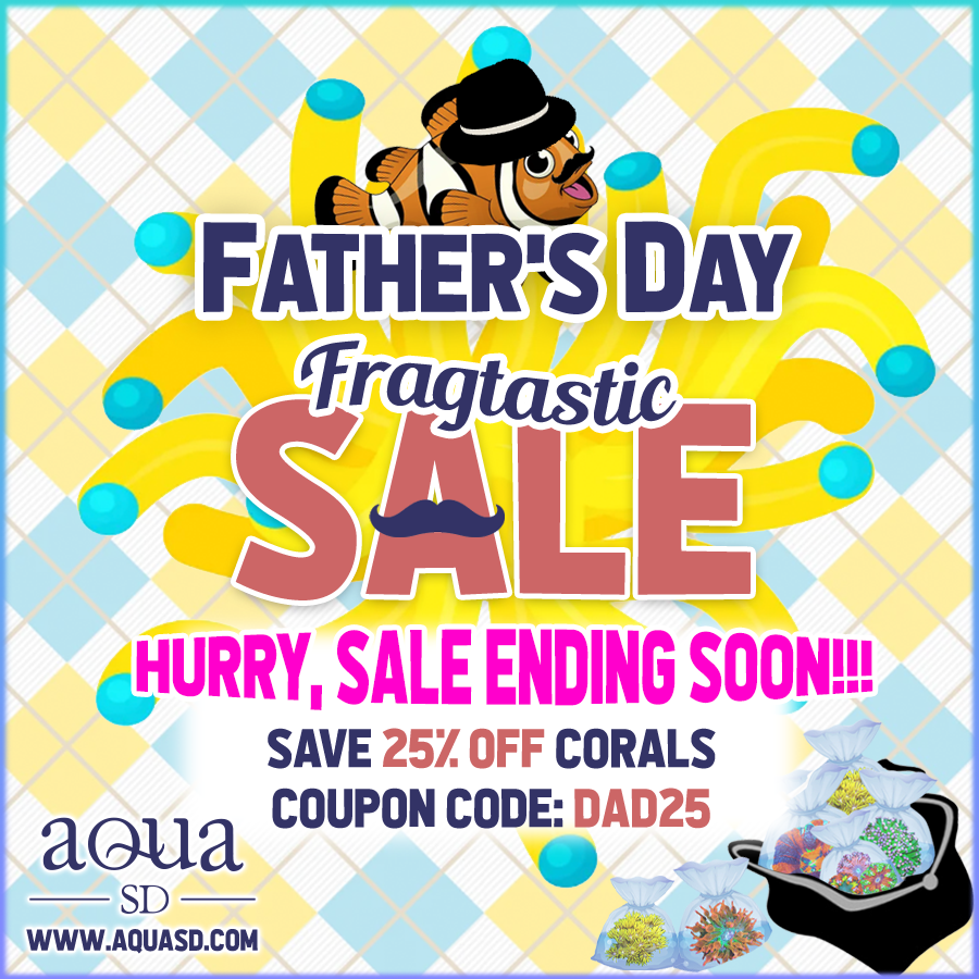 FathersDaySale-lastday.png