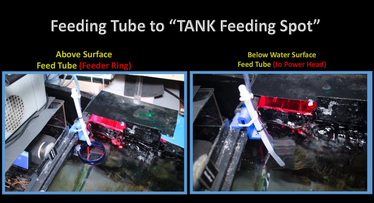 FeedingTubeToTankFeedingSpot.jpg