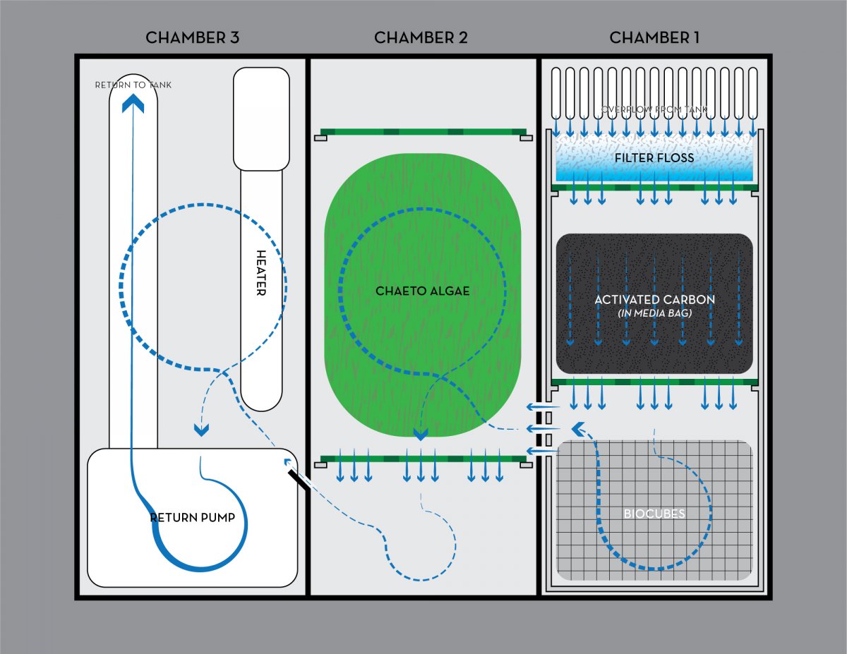 Filtration_Diagram.jpg