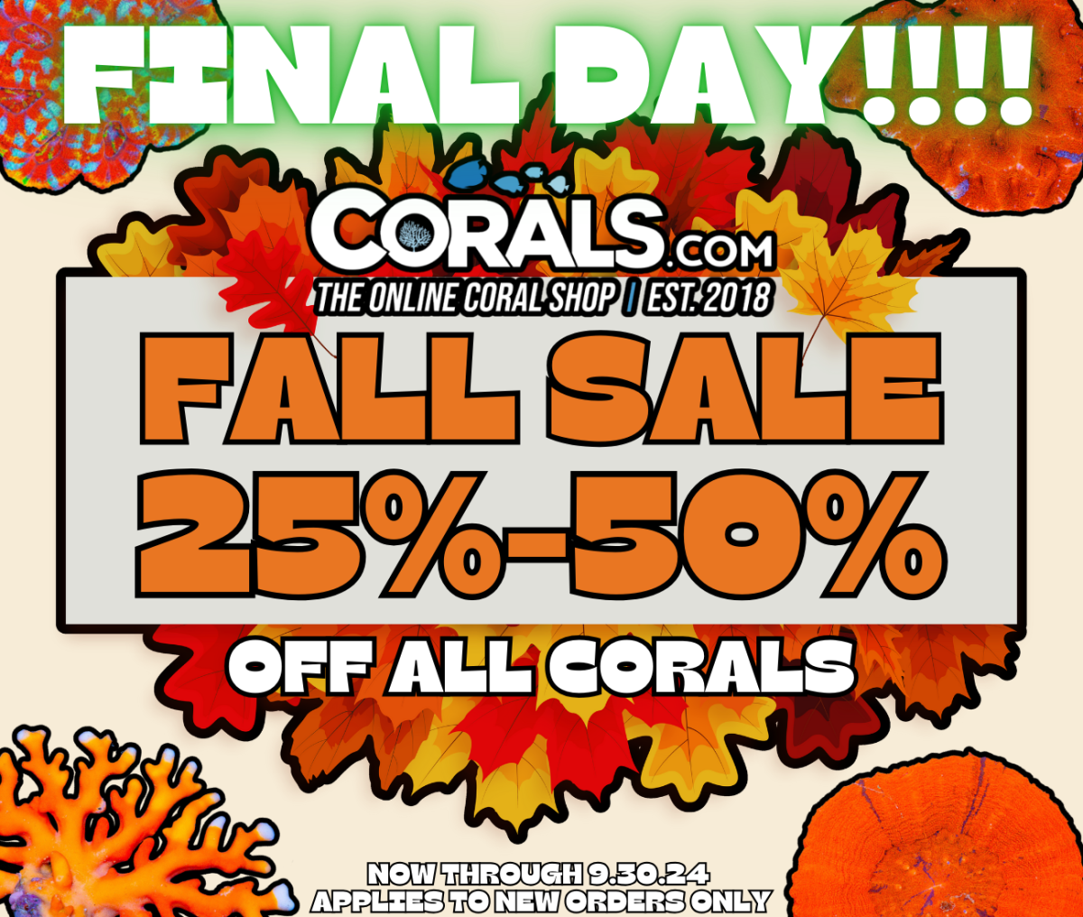 final day fall sale 24.png