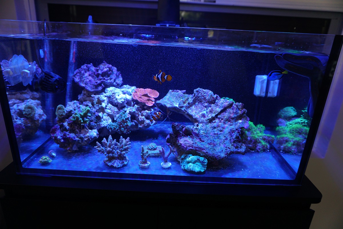 First FTS.jpg