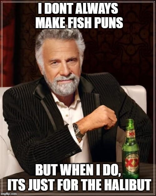 fish 3.jpg