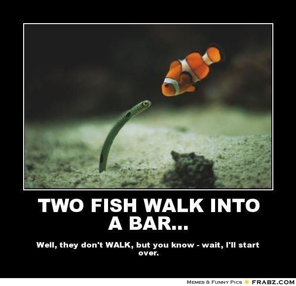 fish-meme-of-a-joke-that-two-fish-walked-into-a-bar.jpeg.jpg