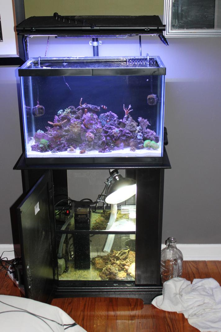 Fish Tank 20 Gallon 092.jpg