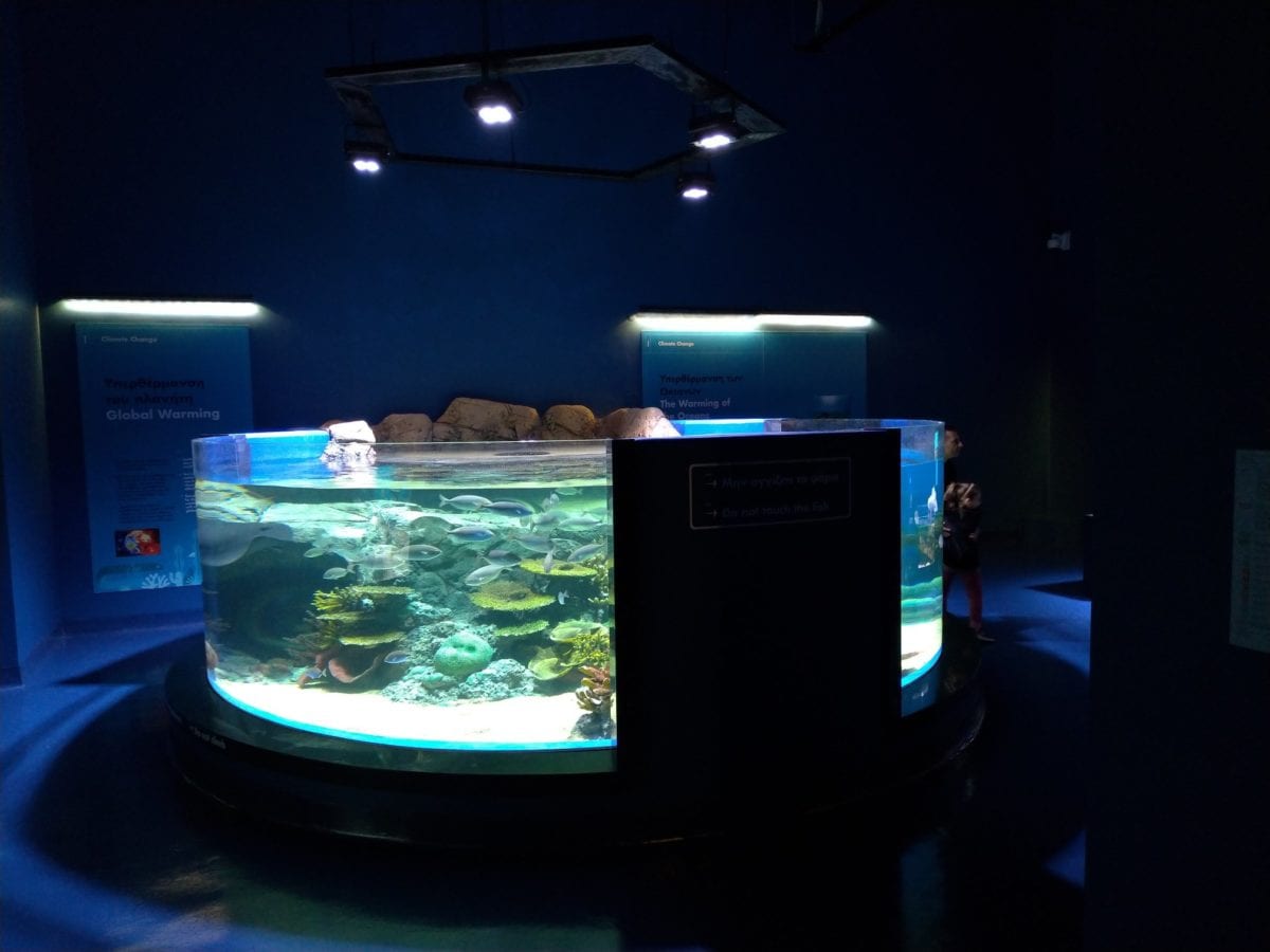 Muskat Mall Aquarium, Oman – Orphek LED Lighting project – Amazonas 960 LED Lighting for public aquariums