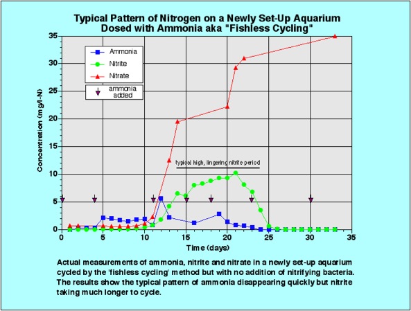 fishless-cycling-chart.jpg