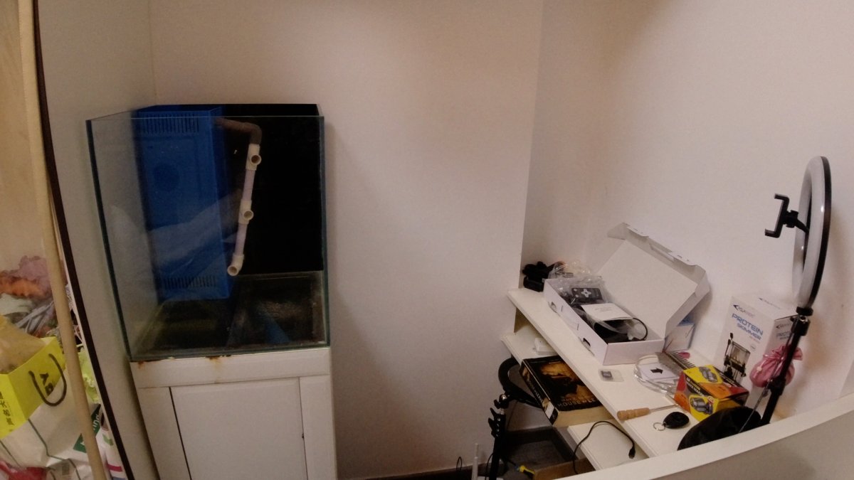 fishtank corner.jpg