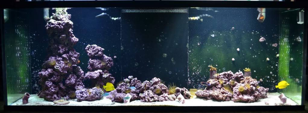 FishTank002.jpg