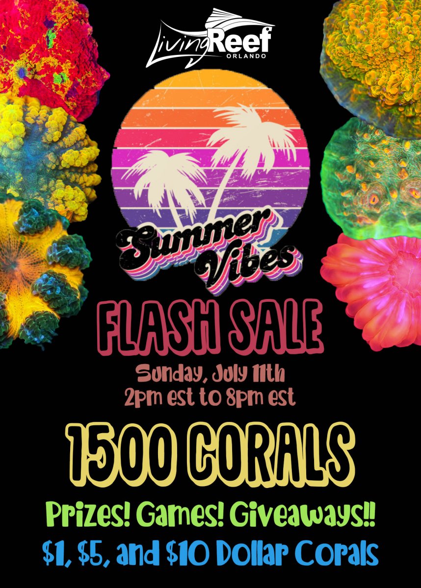 flash sale flyer copy.jpg