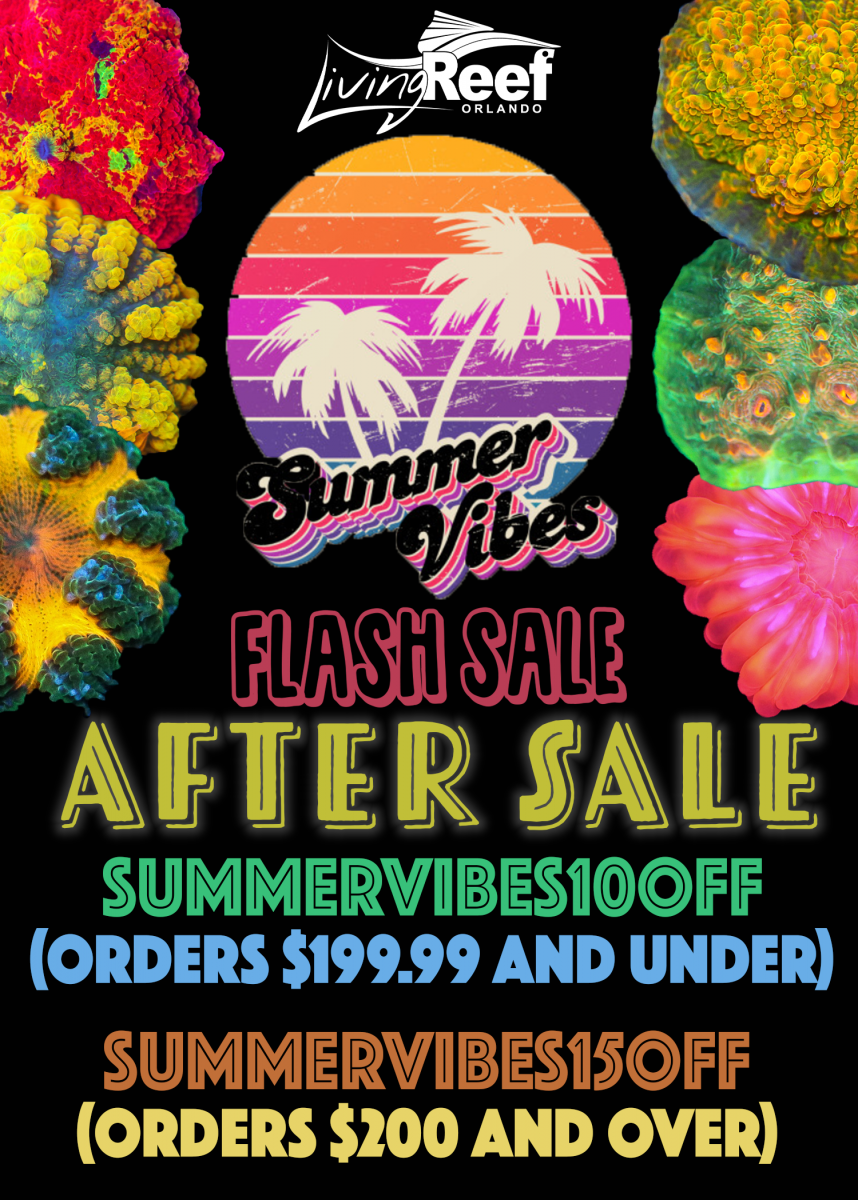 flash sale flyer1-Recovered.png