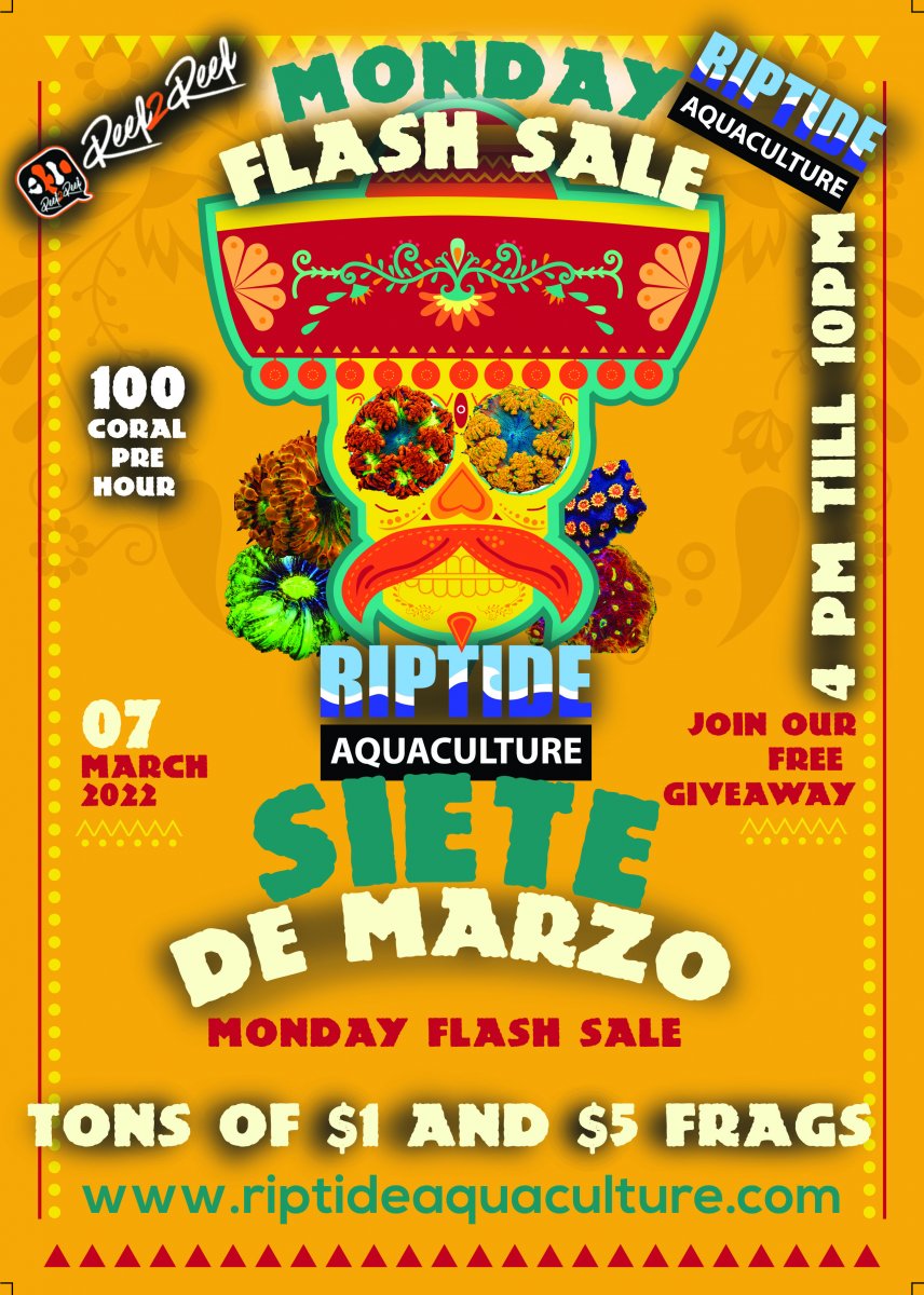 flash sale flyer2.0.jpg